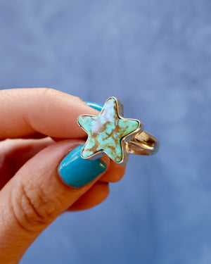 Star Ring in Campitos Turquoise & Sterling Silver F4