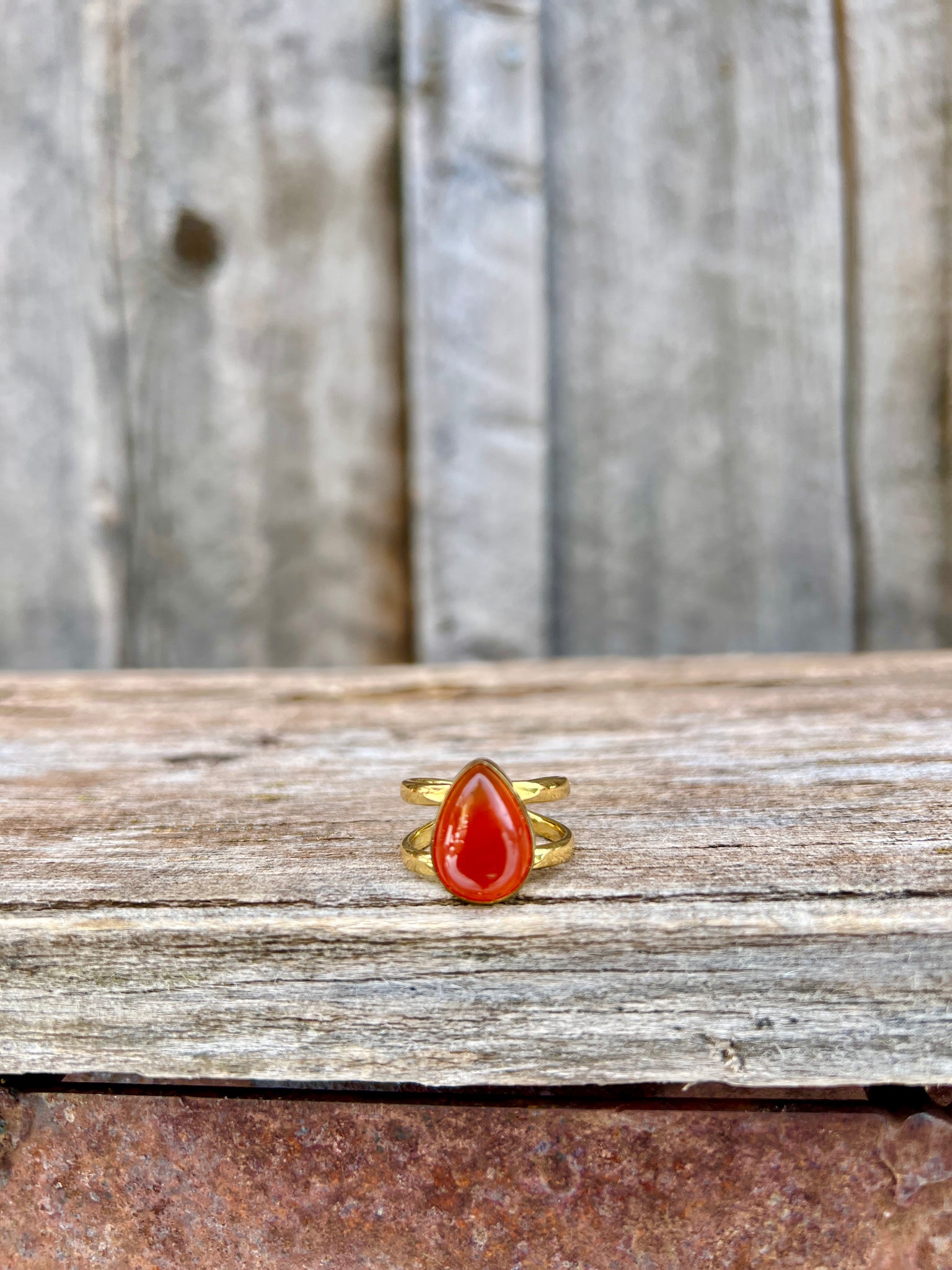Carnelian & Gold Alchemia Double Band Adjustable Ring W44
